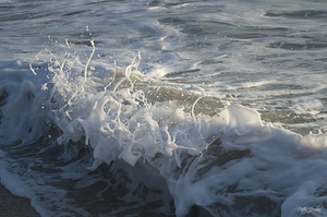 Foam in the Light Two  48.32