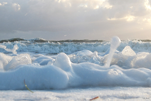 Cotton Foam One  60.40