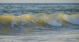 Waves of Sunshine  36.19