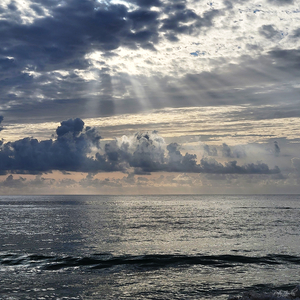 Morning Breaks One  48.48