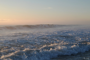 Pink Morning Wave  36.22