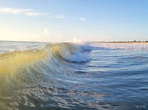 Translucent Wave  36.27