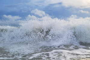 Tumbling Wave Spray  36.24