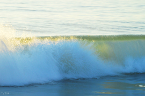 Ocean Spray  36.24 Print