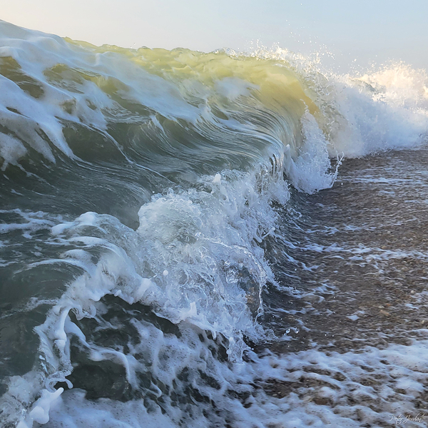 Curling Break  42.42 Print