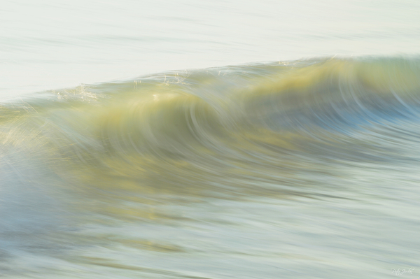 Soft Glimpse  72.48 Print