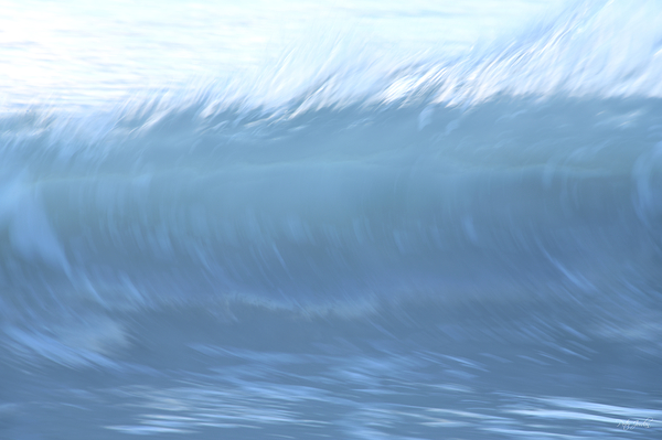 Blue Curl   36.24 Print