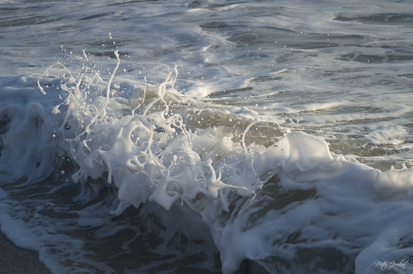 Foam in the Light Two  36.24 Print