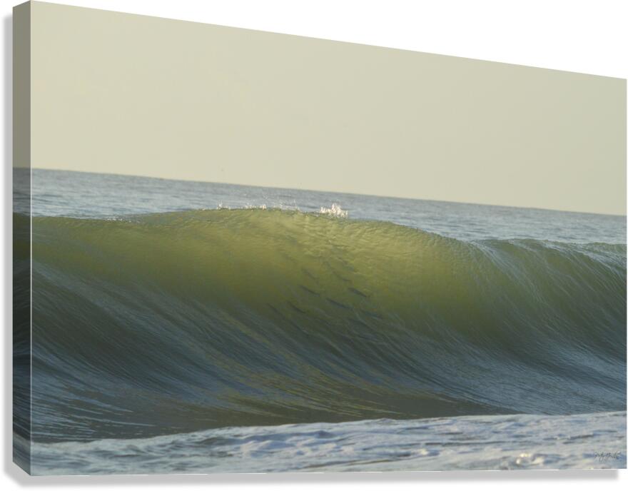 Fish Shadows  36.24 Canvas Print