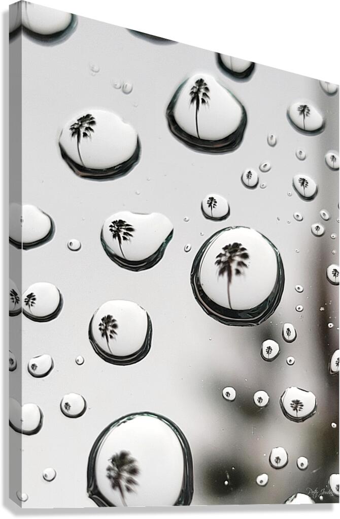 Palm Tree Thoughts Two  54.72 Canvas Print