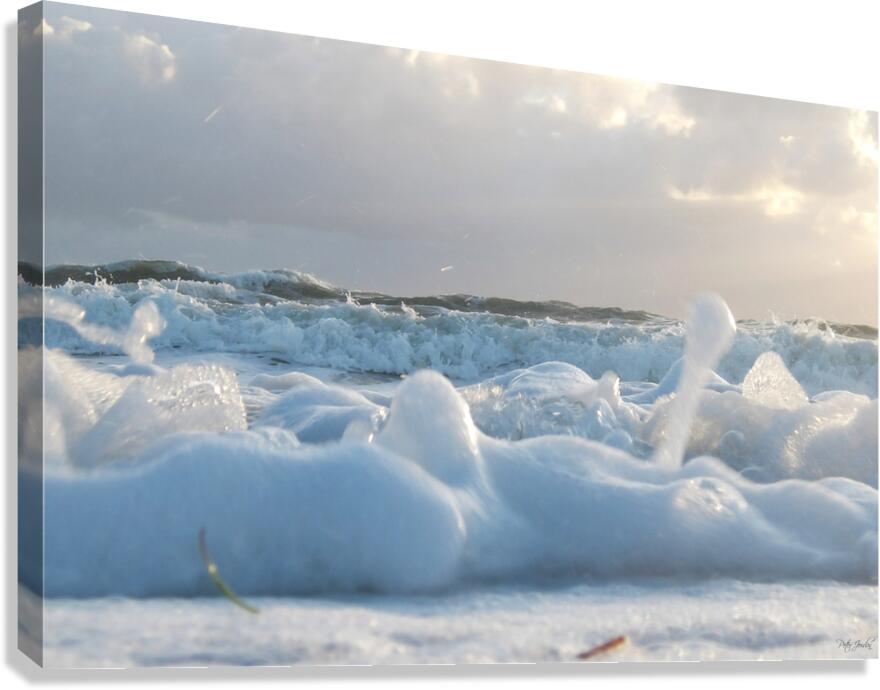 Cotton Foam One  72.48 Canvas Print