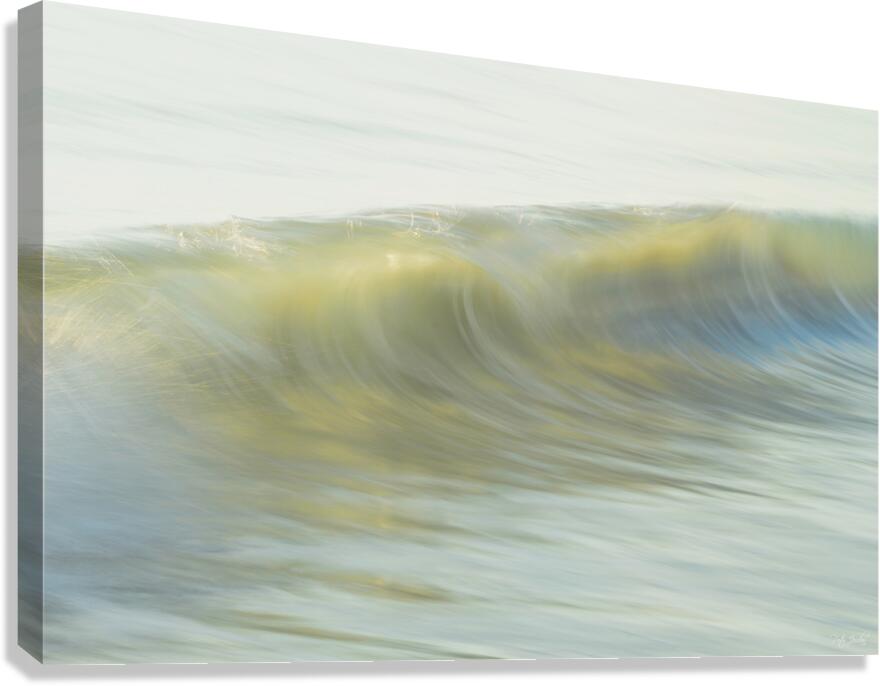 Soft Glimpse  48.32 Canvas Print