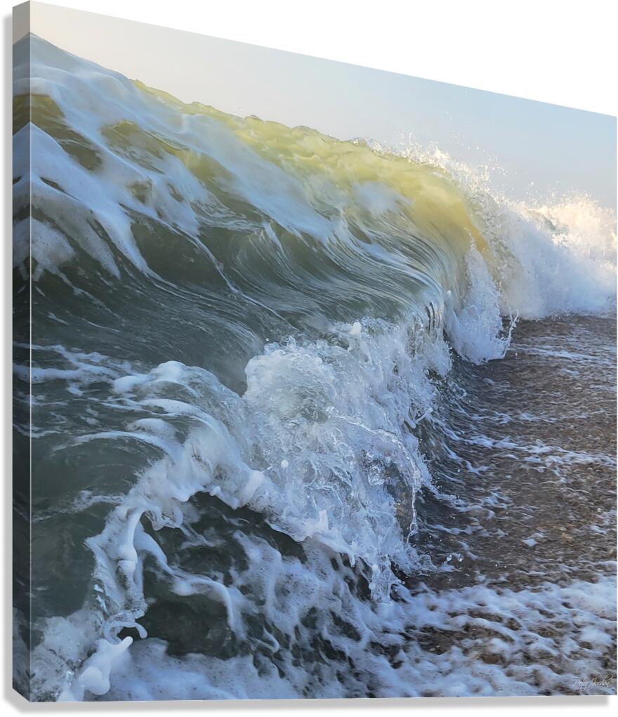 Curling Break  42.42 Canvas Print