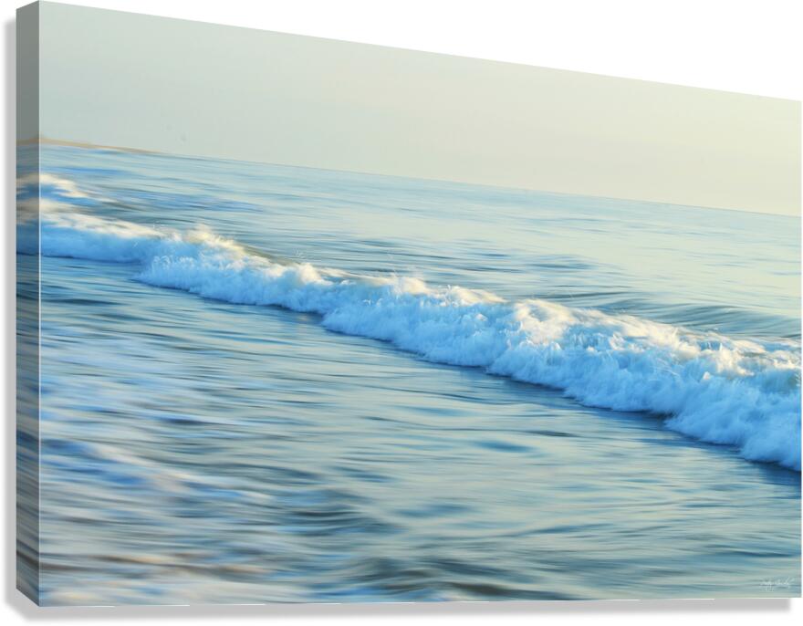 Painted Foam  48.32 Canvas Print