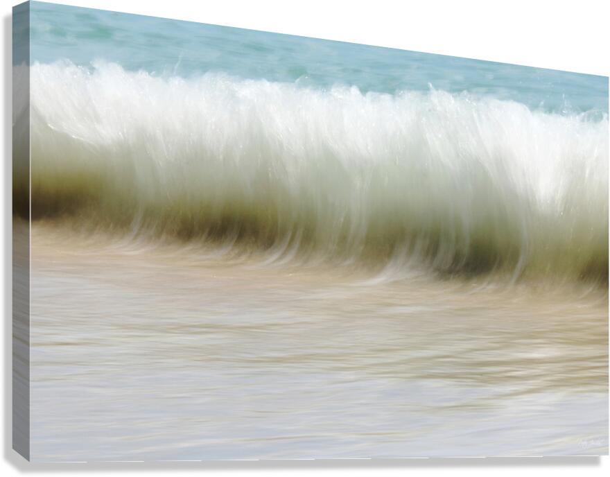 Up from the Depths 36.24 Canvas Print