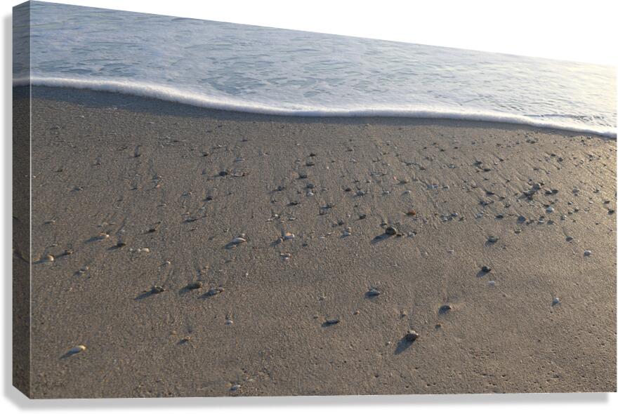 Foam Line with Shells 42.24 Canvas Print