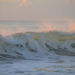 Pink Dawn Wave Spray  72.48