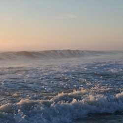 Pink Morning Wave  72.48