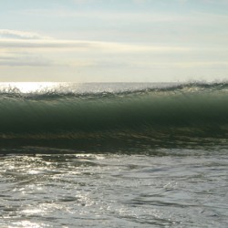 Edge Loss Four  55.29