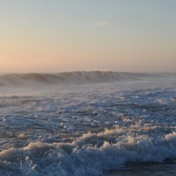 Pink Morning Wave  36.22