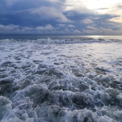 Receding Waters  36.24