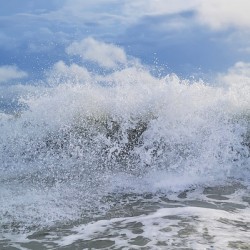 Tumbling Wave Spray  36.24