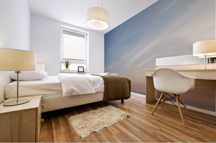 Dawns Reveal  60.24 Mural print