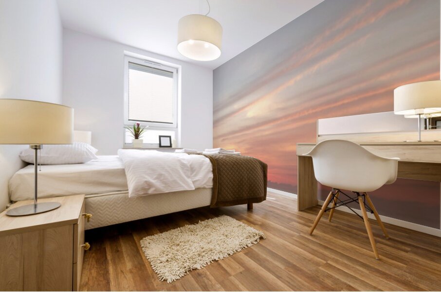 Dawn Hues  72.24 Mural print