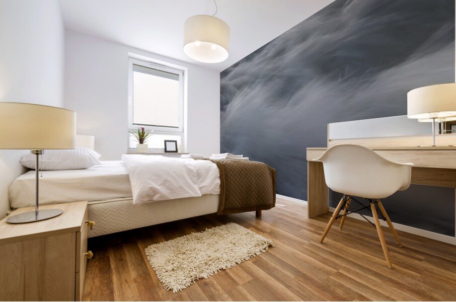 Dream Trails 55.31 Mural print