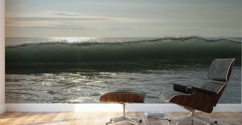 Edge Loss Four  55.29 Wall Murals