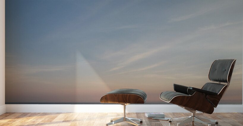 Dawns Reveal  60.24 Wall Murals