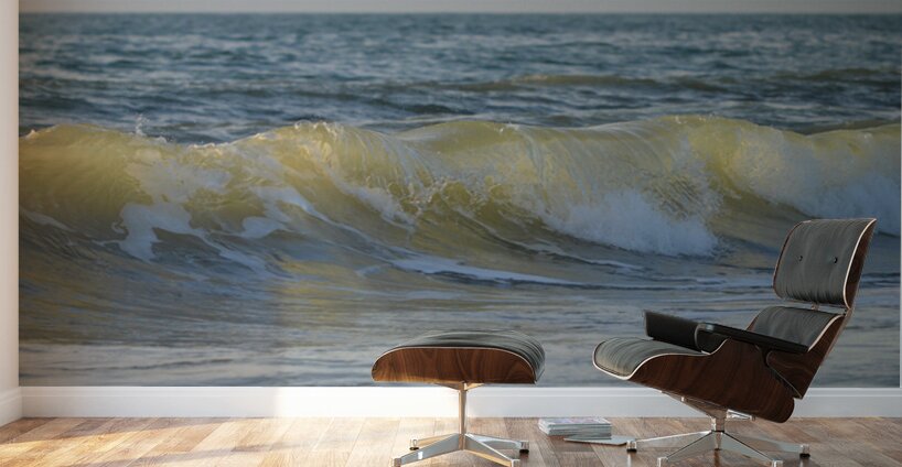 Waves of Sunshine  36.19 Wall Murals