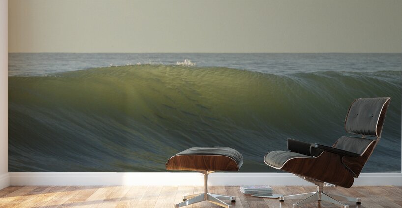 Fish Shadows  36.24 Wall Murals