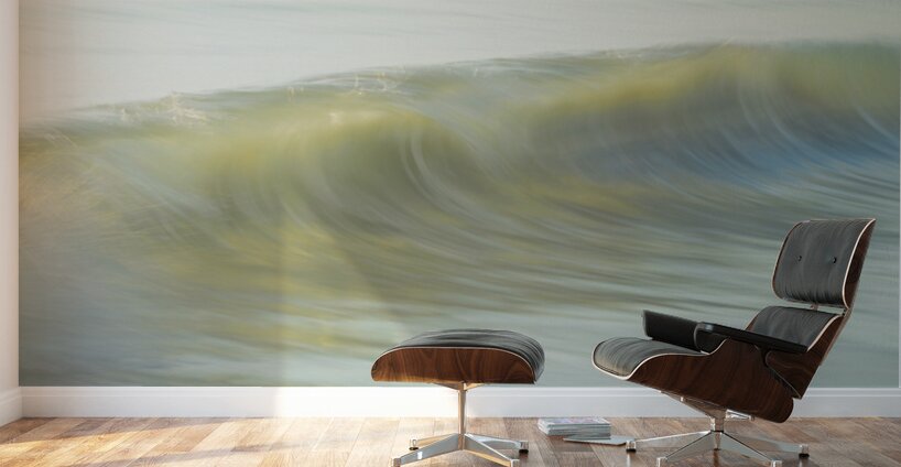 Soft Glimpse  36.24 Wall Murals