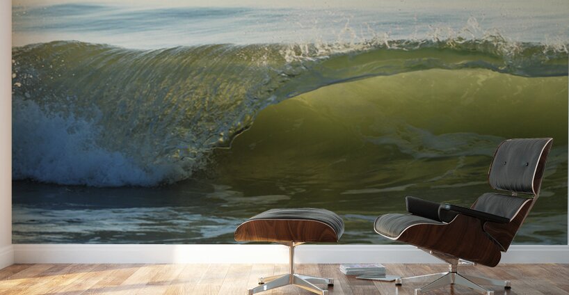 Wave Curl  48.32 Wall Murals
