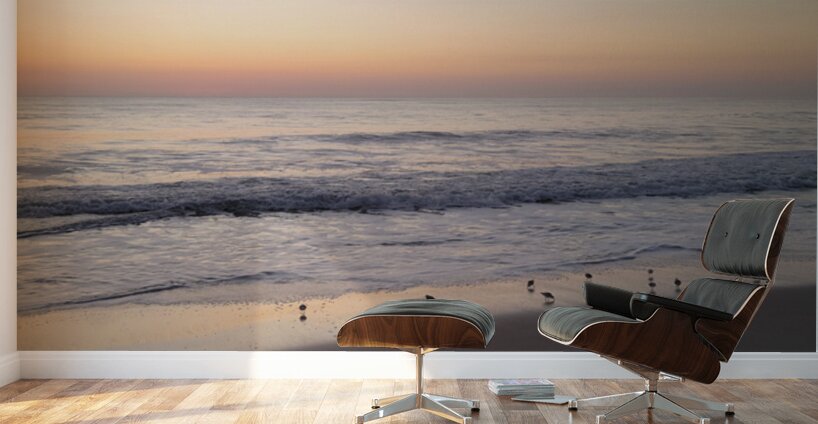 Sandpiper Morning  48.48 Wall Murals