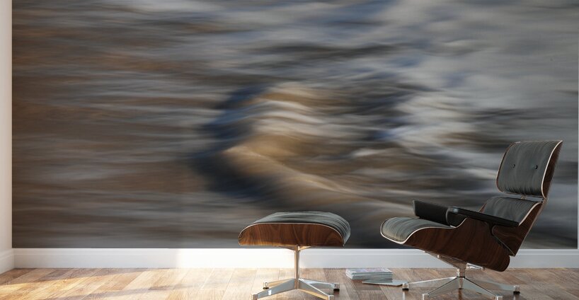 Bilateral Pause 48.32 Wall Murals