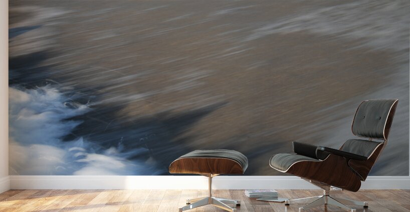 Momentary Shadows 48.32 Wall Murals