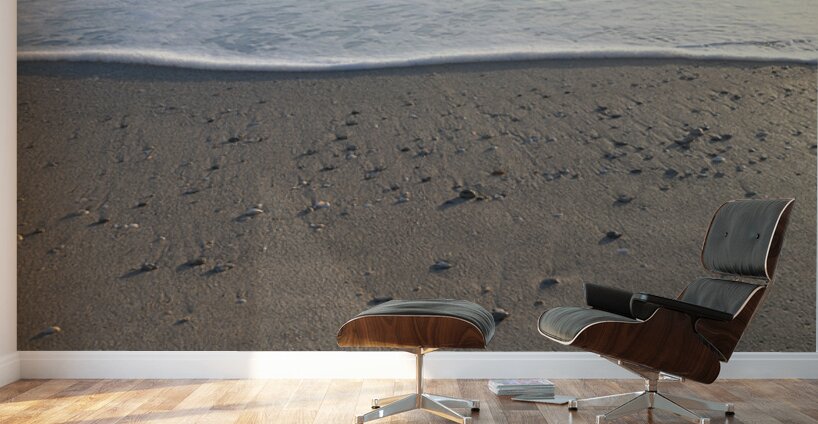 Foam Line with Shells 42.24 Wall Murals