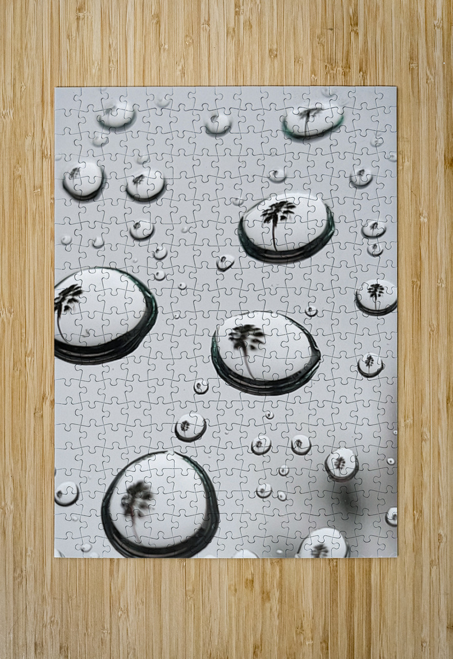 Palm Tree Thoughts One 27.36 Peter Jordan Puzzle printing