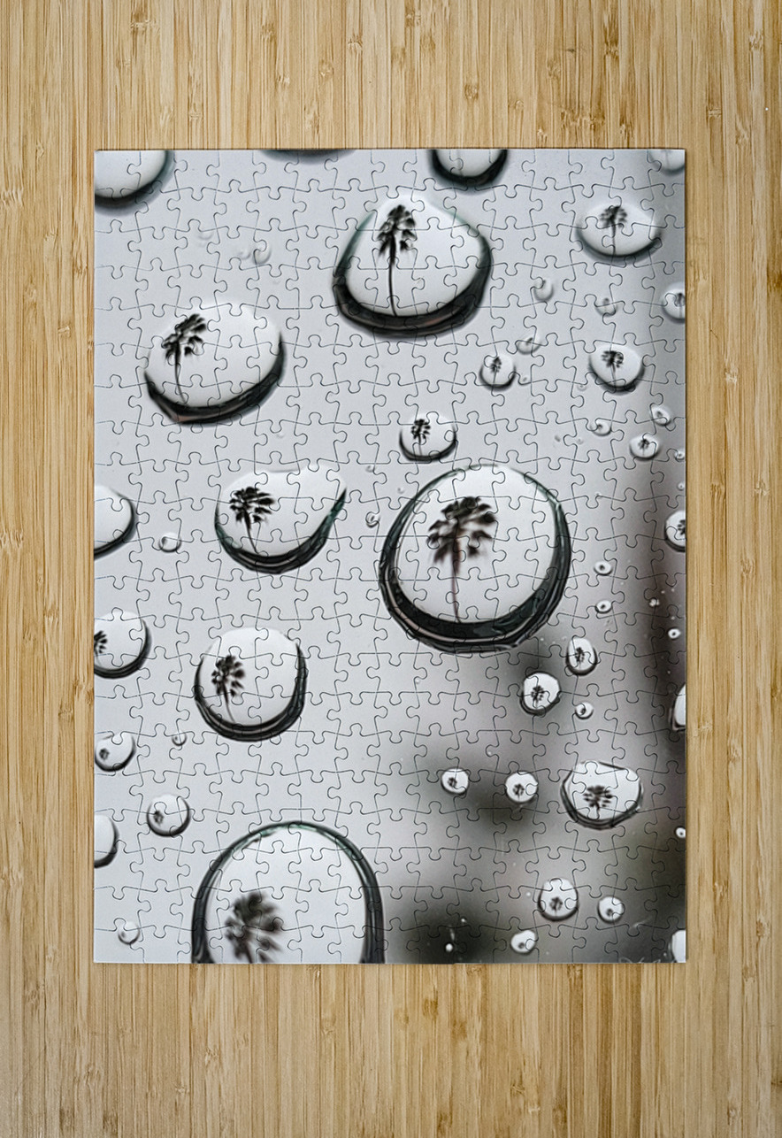 Palm Tree Thoughts Two 32.42 Peter Jordan Puzzle printing