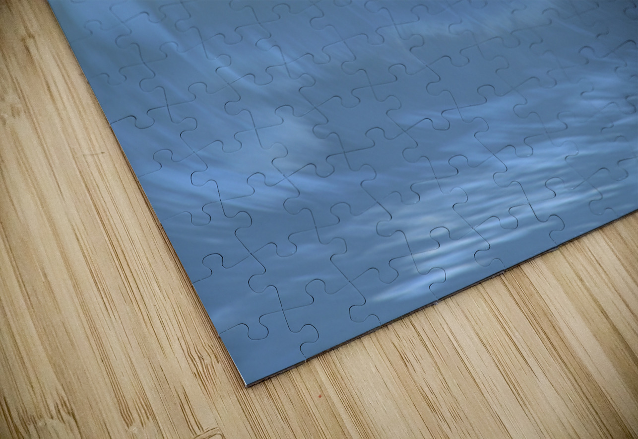 Blue Curl   36.24 Peter Jordan Puzzle