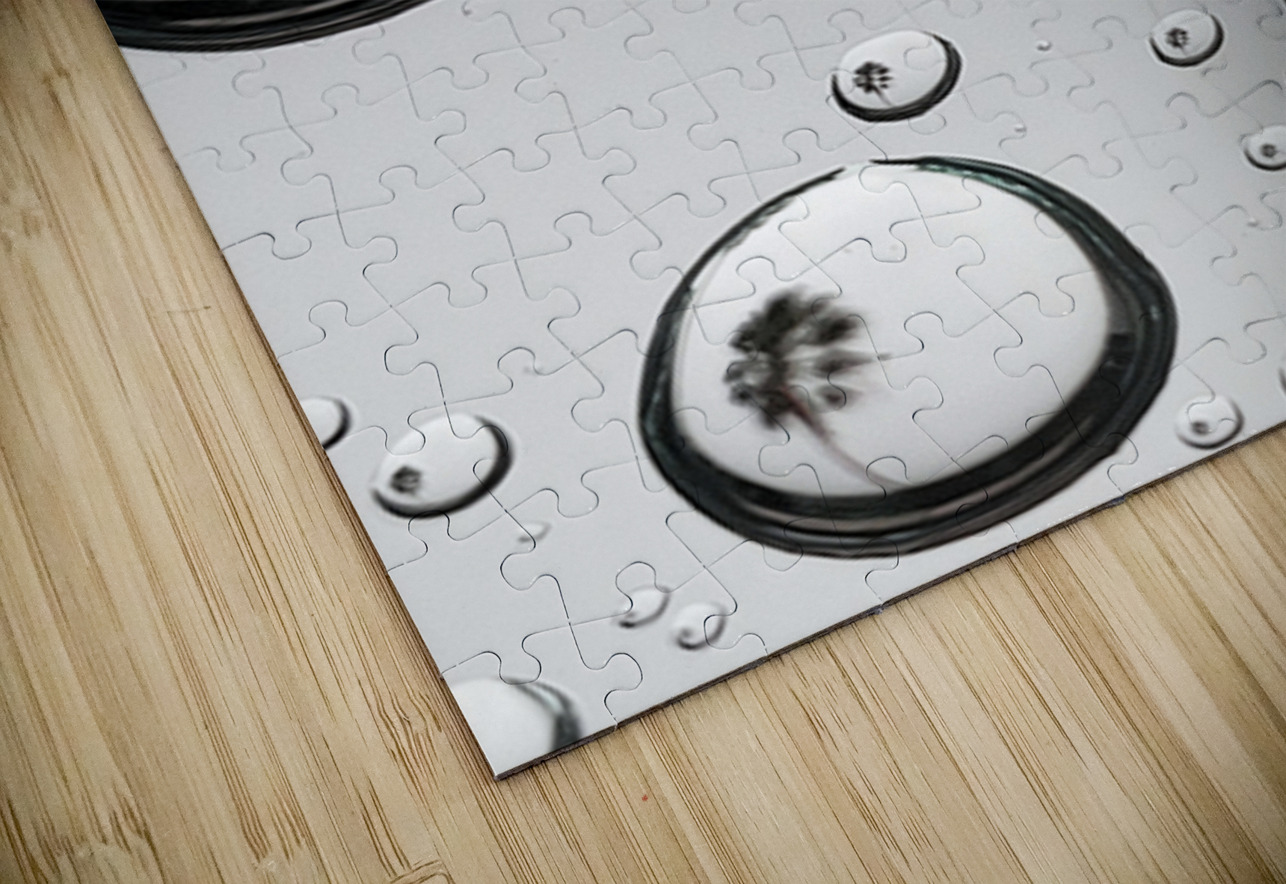 Palm Tree Thoughts One 32.42 Peter Jordan Puzzle