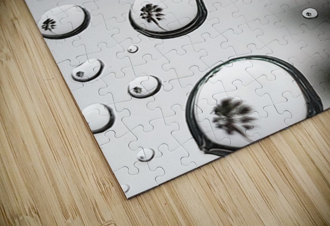 Palm Tree Thoughts Two  54.72 Peter Jordan Puzzle