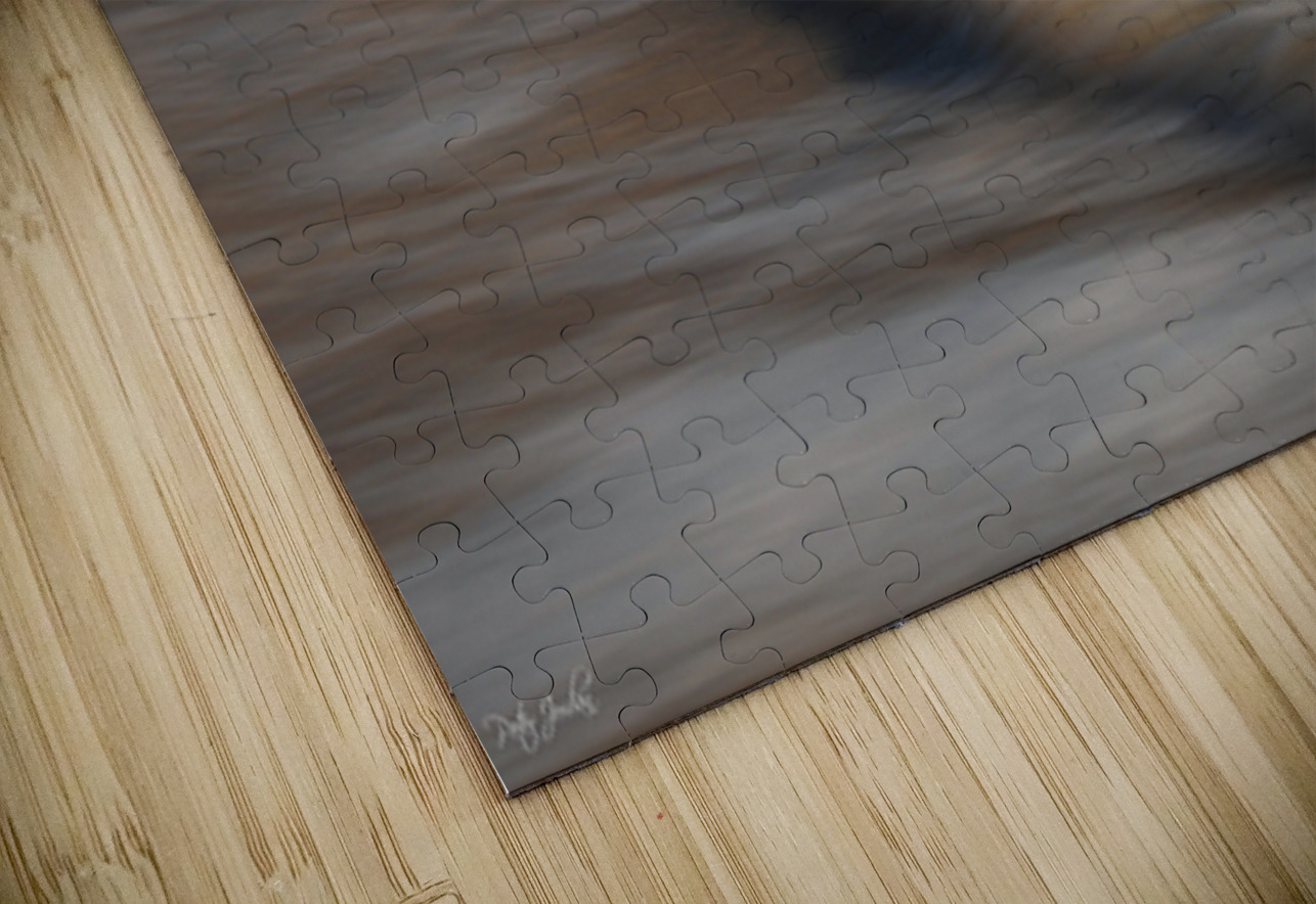 Bilateral Pause 36.24 Peter Jordan Puzzle